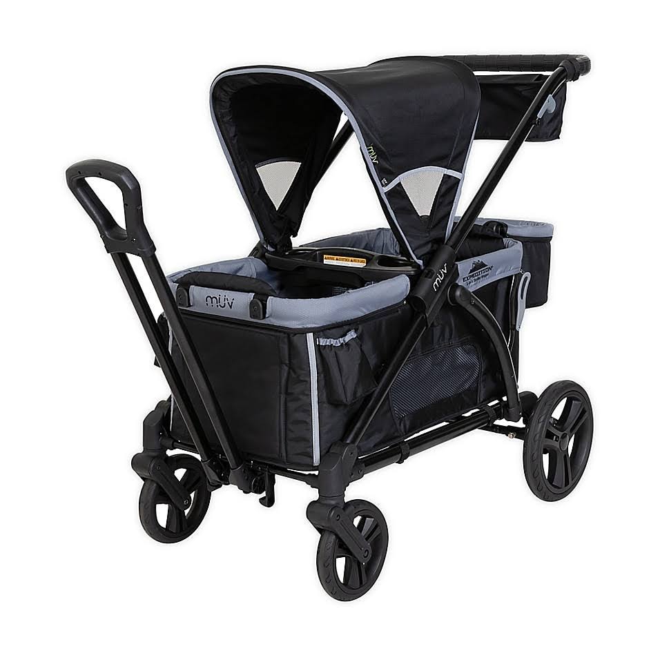 Black 2-in-1 Double Stroller Wagon N785