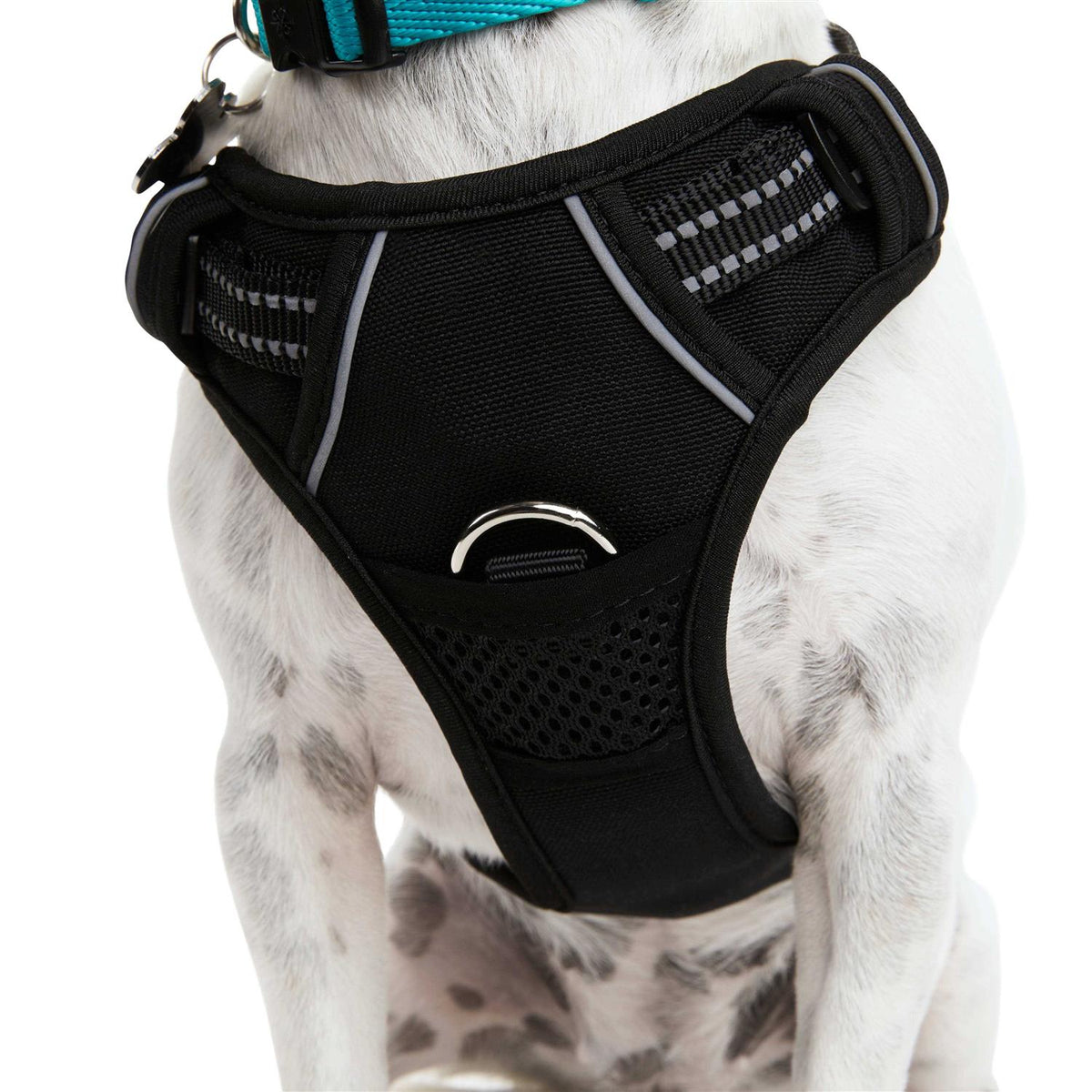 Black Front Walking Dog Harness L705549