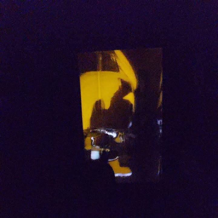 Glows in The Dark Funko Pop V439