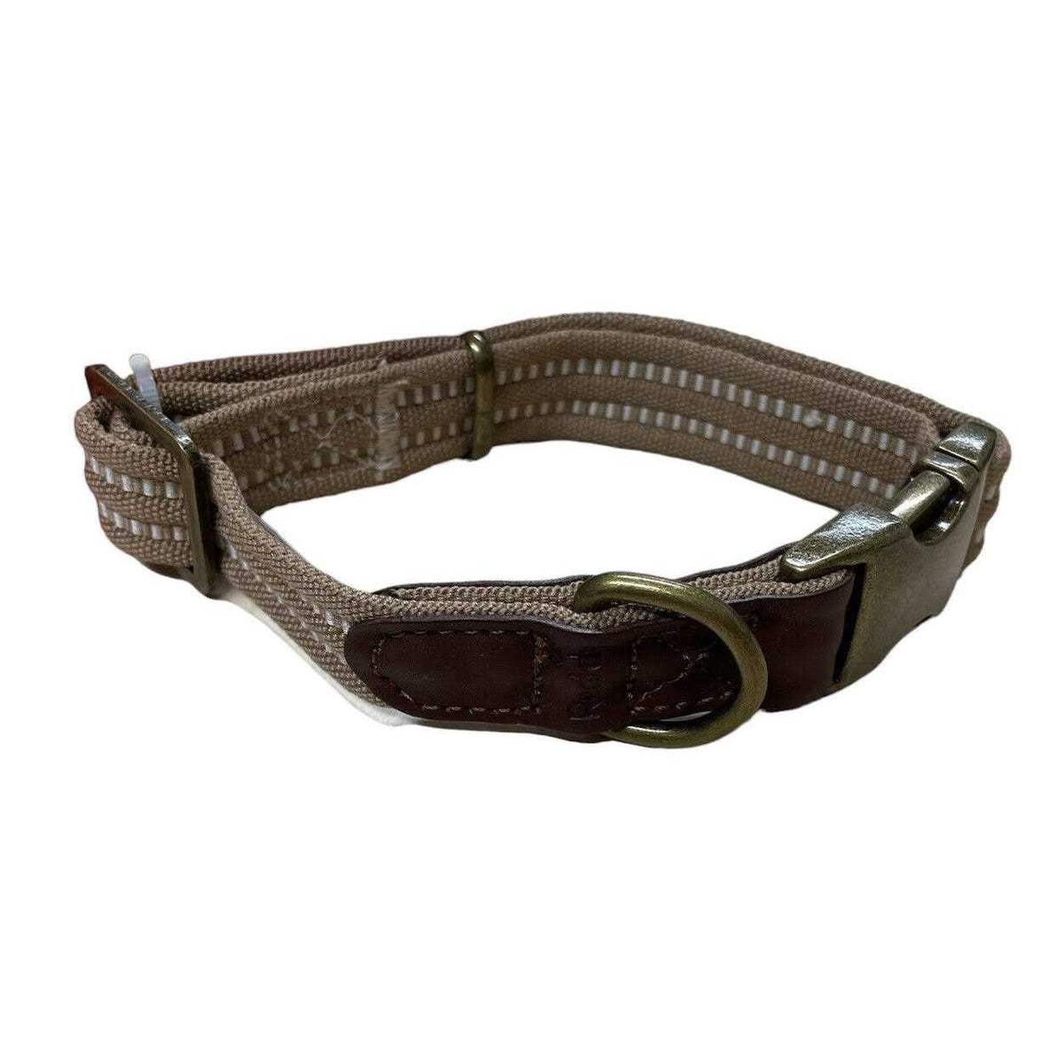 Webbed Dog Collar Q3680