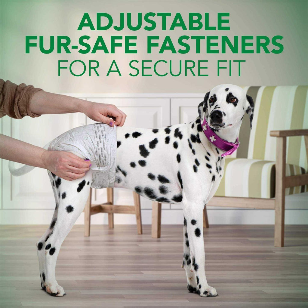 Disposable Female Dog Diapers U734426