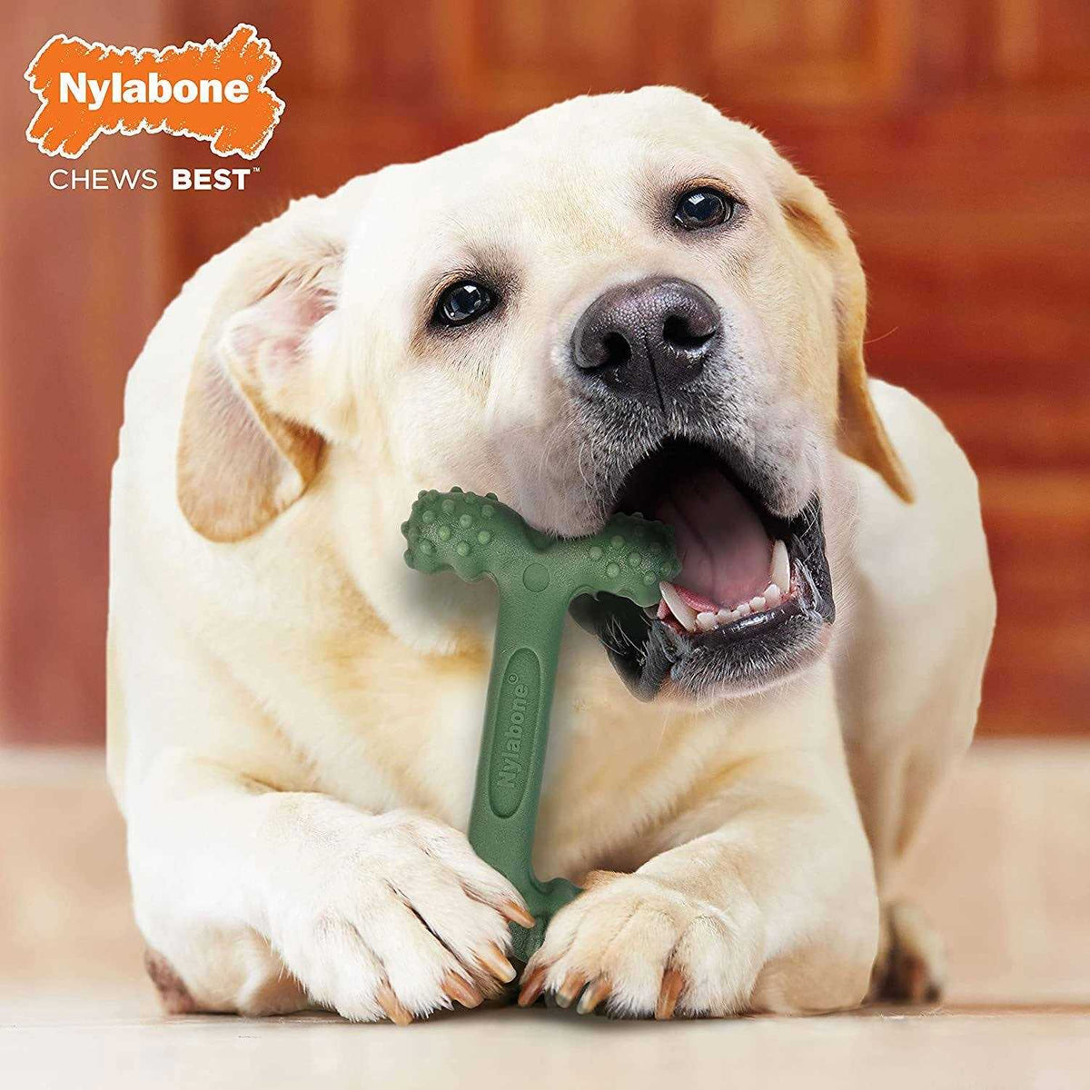 Bacon Dental Dog Toy B714