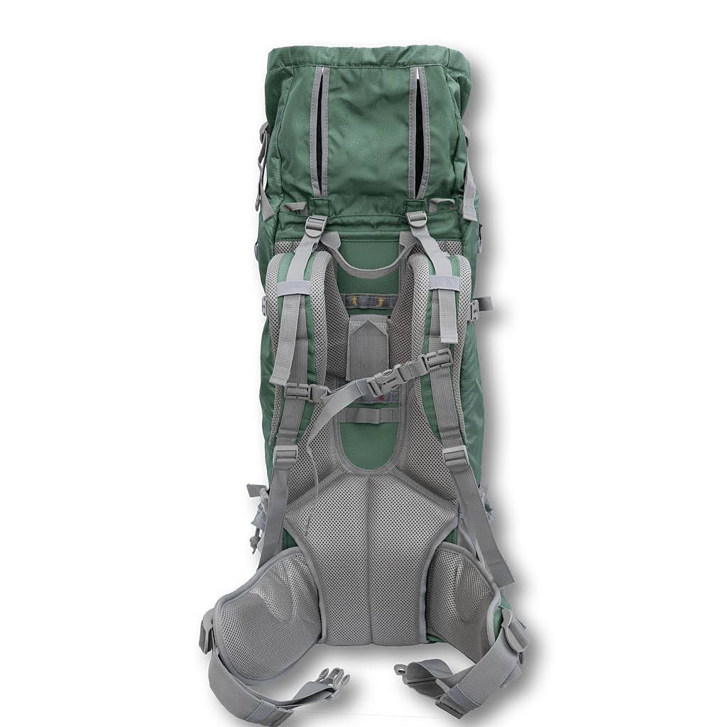 Green Dog Carrier Backpack L52539