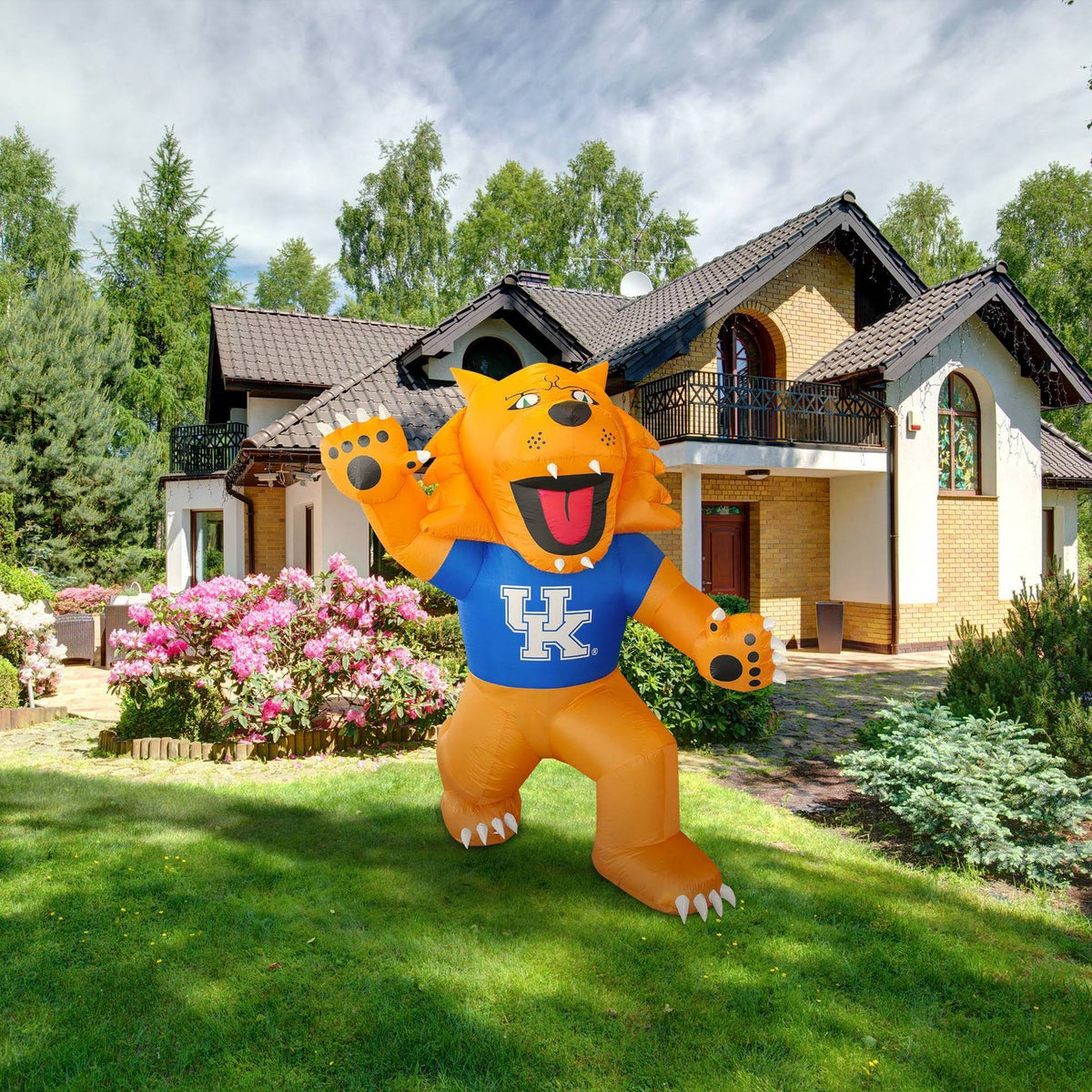 Inflatable Mascot D6455