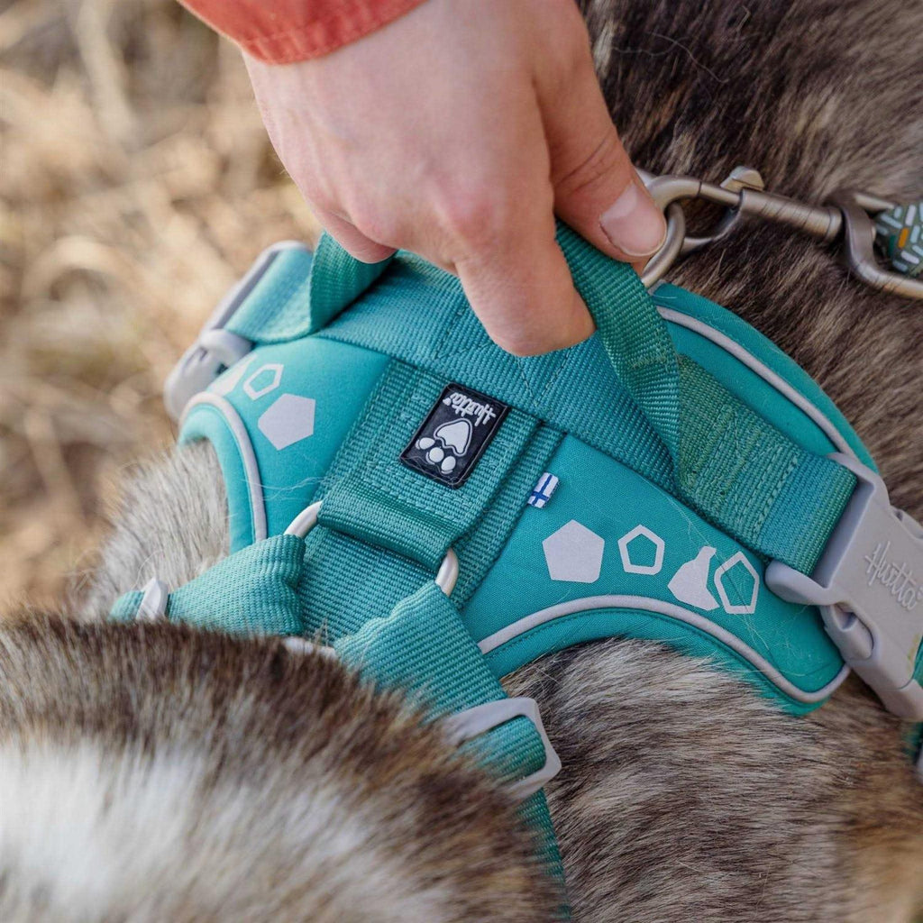 Dog Harness D567024