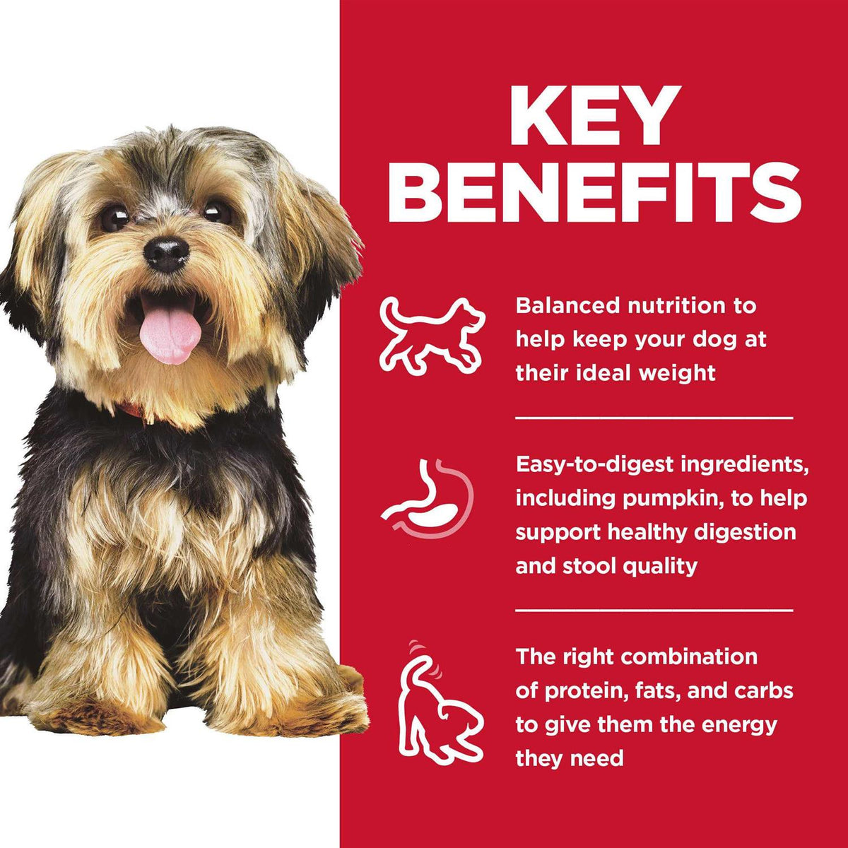 Rice Dry Dog Food Y83205