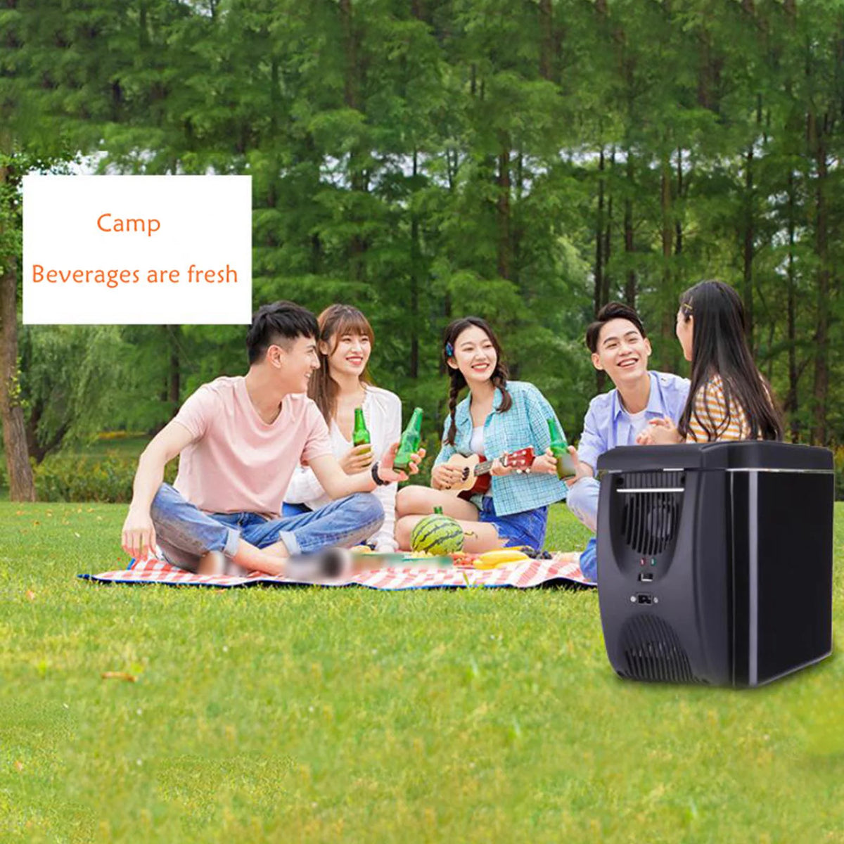 6 Liter Mini Fridge and Warmer K876758