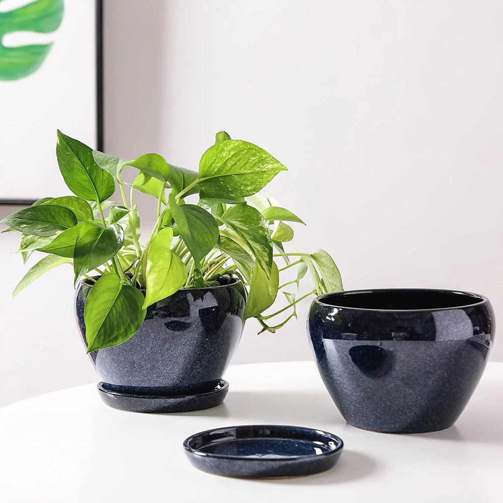 6.5 Inch Ceramic Plant Pot with Drainage Hole and Saucer V8734