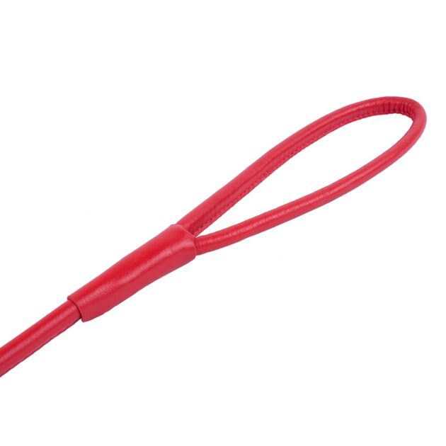 Rolled Leather Dog Leash M46244