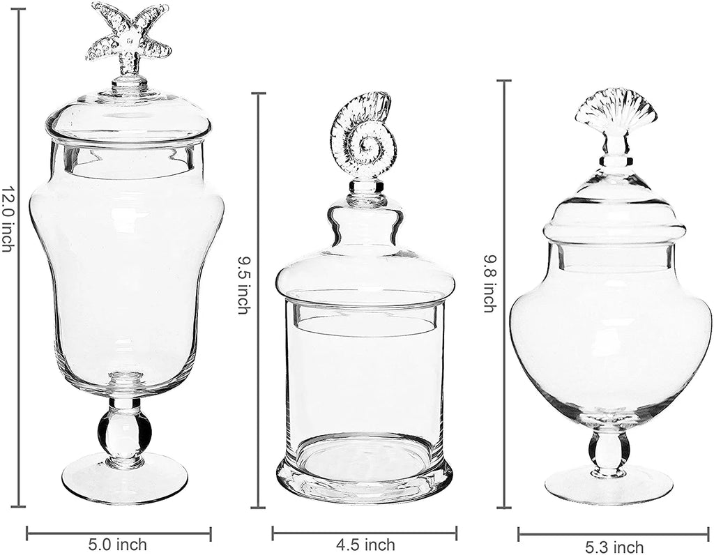 Clear Glass Set of 3 Apothecary Jars P5306
