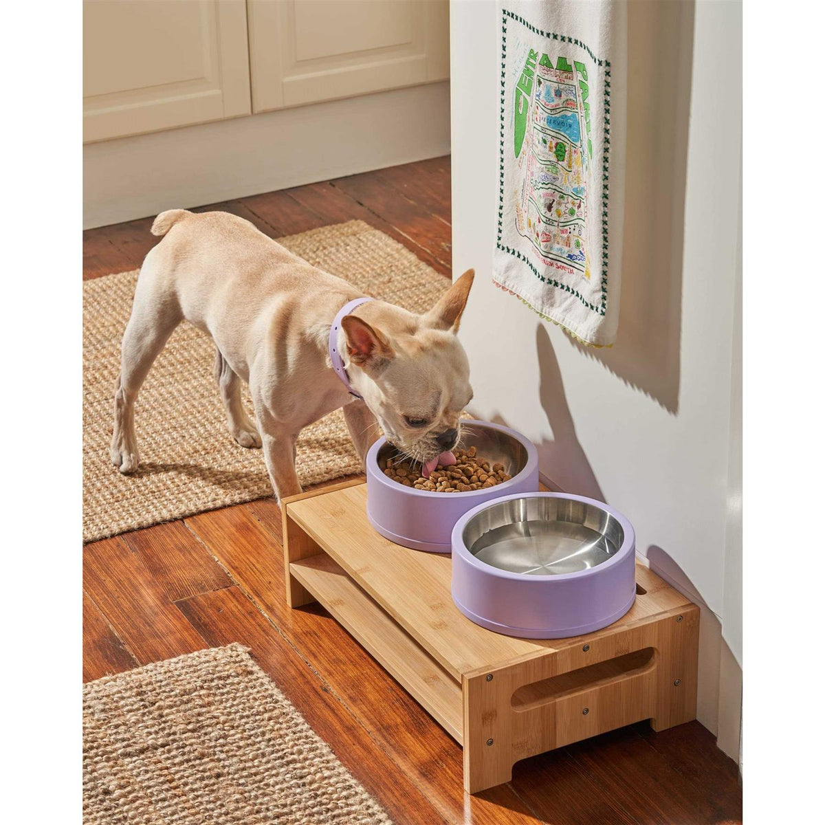 Pet Bowl L673