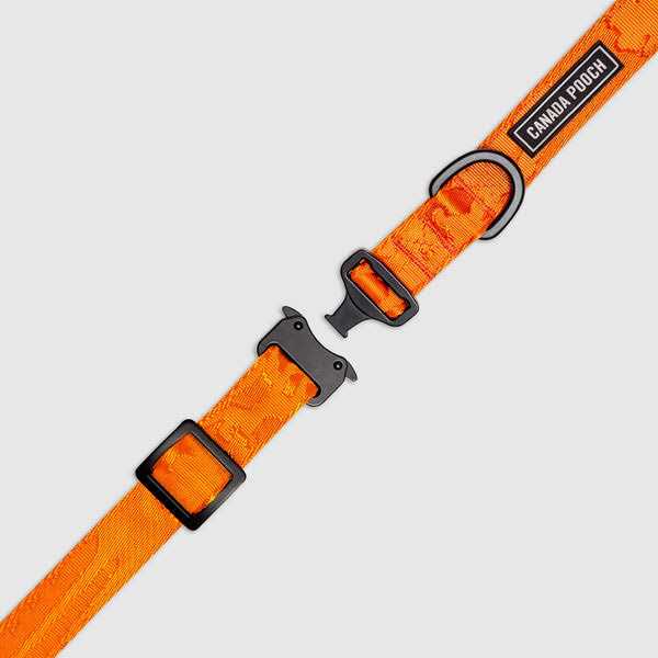 Utility Dog Collar S17778