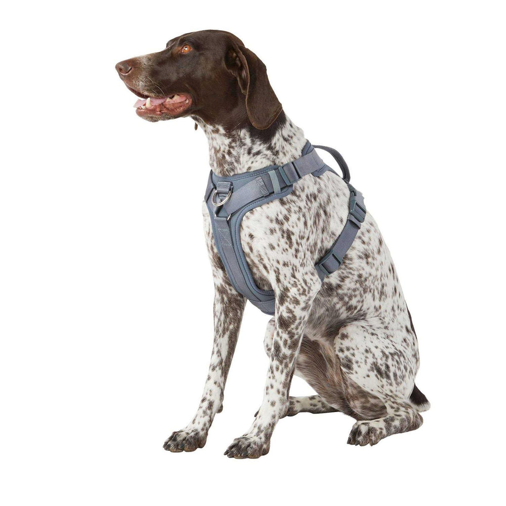 Adjustable Dog Harness T422551