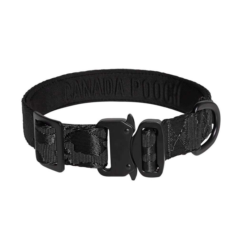 Utility Dog Collar S17778