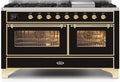 Glossy Black Dual Fuel Natural Gas Range Q4971
