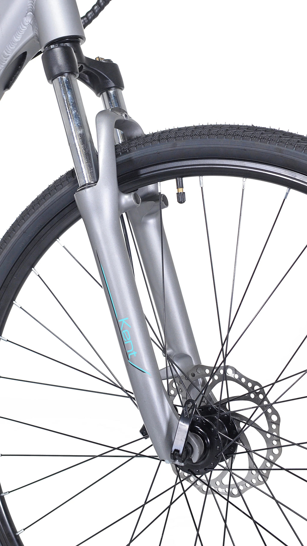 Gray 350W Step-Through Electric Bicycle C573