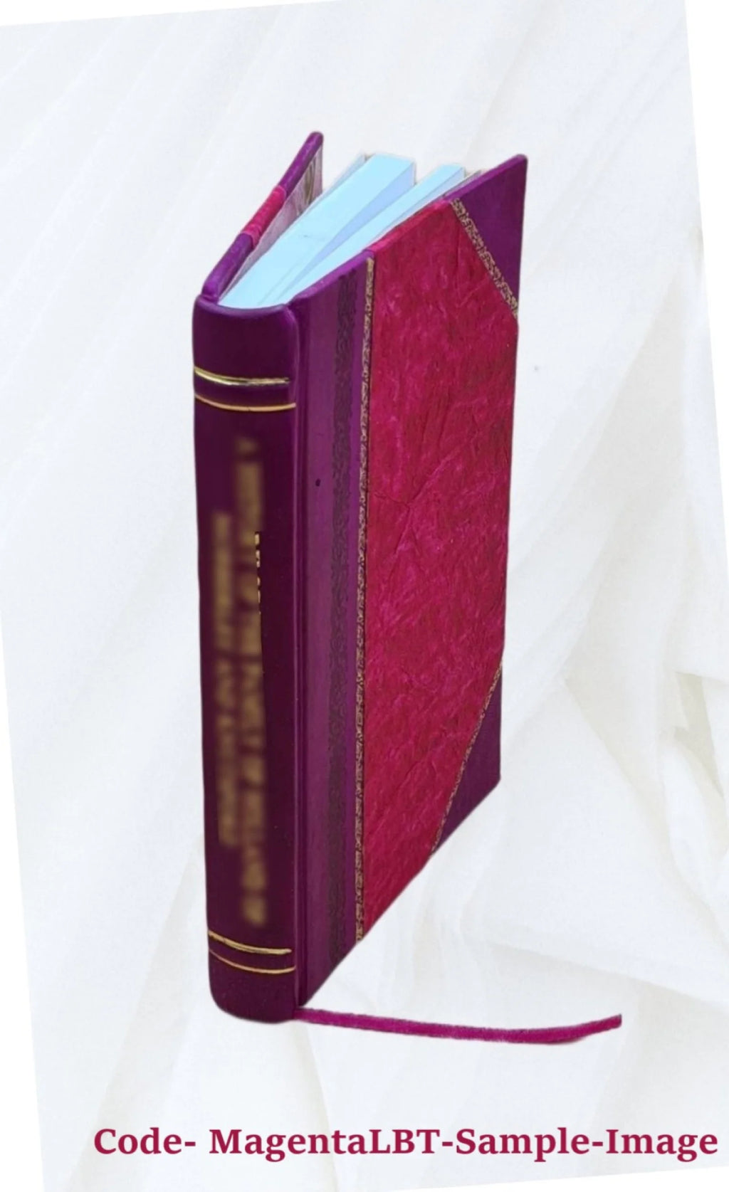 History and Rhymes of the Lost Battalion Leather Bound M73019