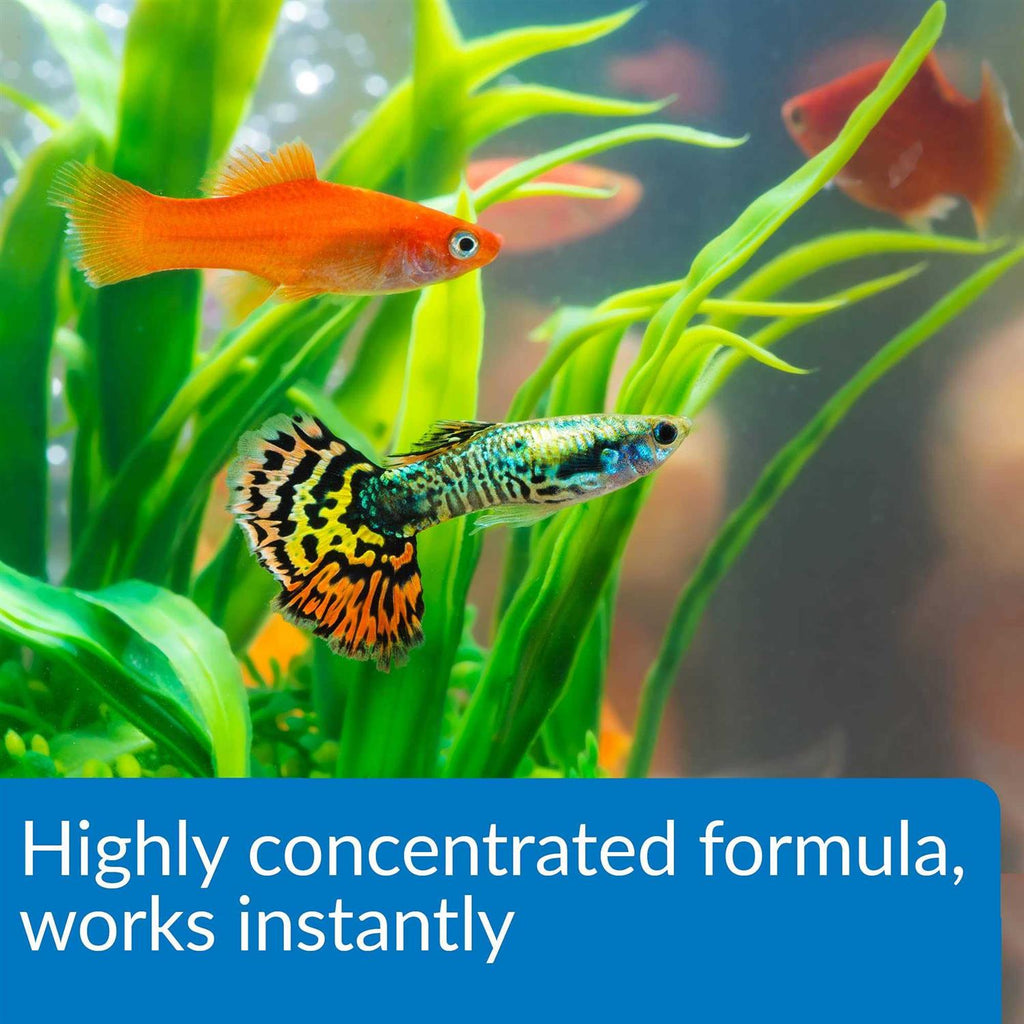 Aqua Essential Water Conditioner C529850