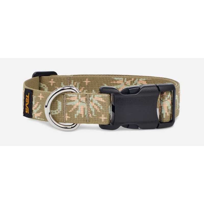 Dog Collar Multicolor G1426