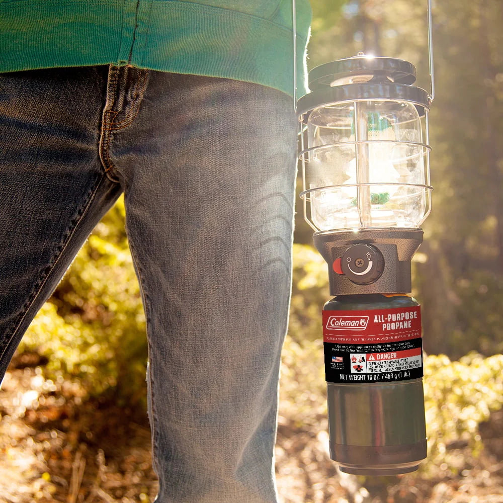 16 ounce 2-Pack Propane Gas Cylinder K86796