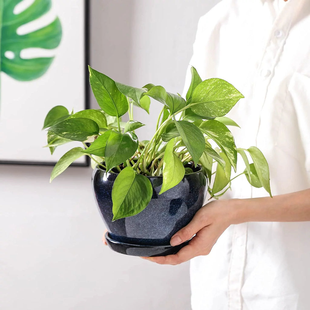 6.5 Inch Ceramic Plant Pot with Drainage Hole and Saucer V8734