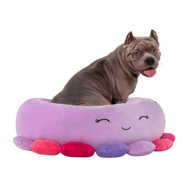 Pet Bed Y728836